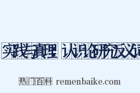 实践与真理：认识论研究反义词是什么意思的图片